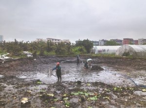 南平河道鱼塘清淤